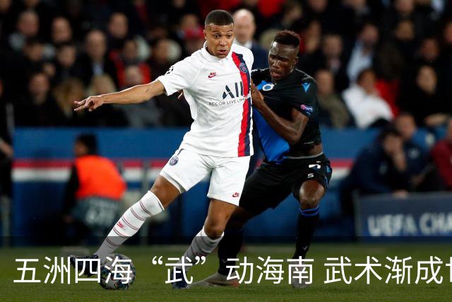 五洲四海“武”动海南 武术渐成世界语言