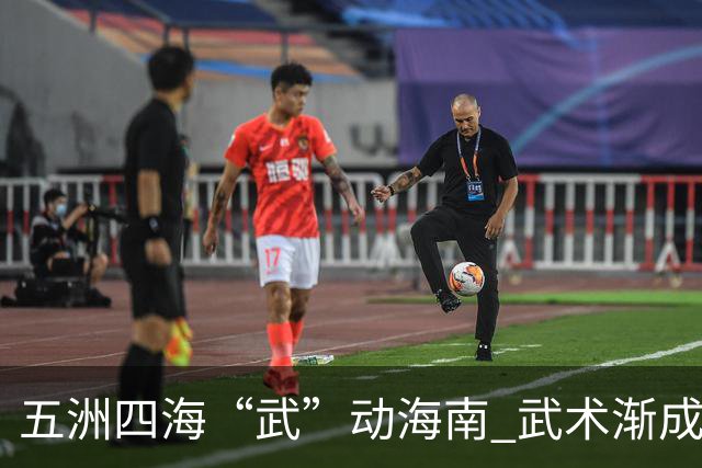 五洲四海“武”动海南 武术渐成世界语言