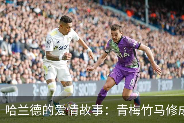 哈兰德的爱情故事：青梅竹马修成正果 女友主动追求他