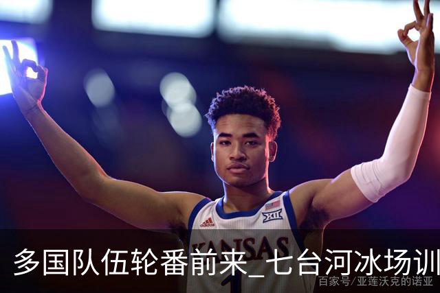多国队伍轮番前来 七台河冰场训练档期排到9月