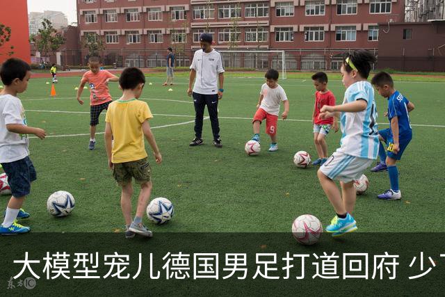 大模型宠儿德国男足打道回府 少了人性观察数据等于废纸