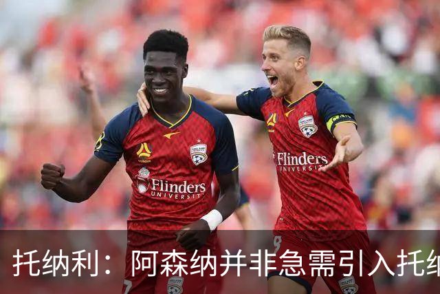 托纳利：阿森纳并非急需引入托纳利，不应花1亿英镑买他