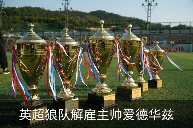 英超狼队解雇主帅爱德华兹